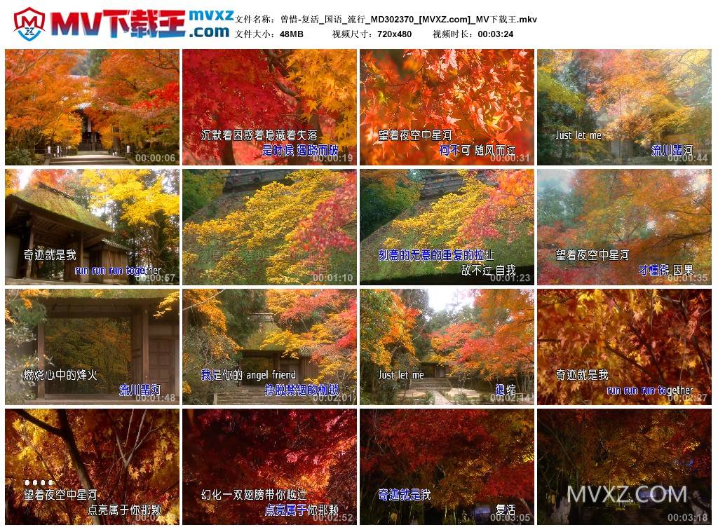 曾惜-复活_国语_流行_MD302370